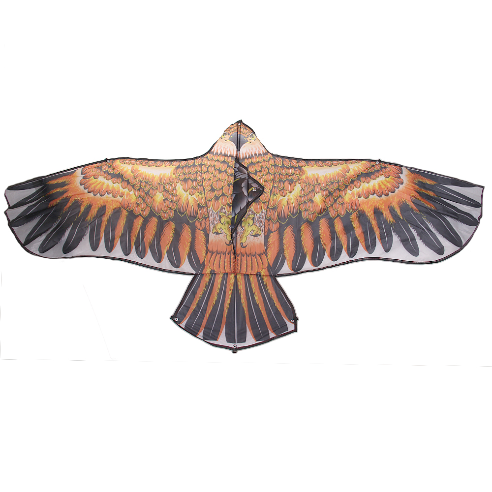 Létající drak orel hnědý - náhľad 2
