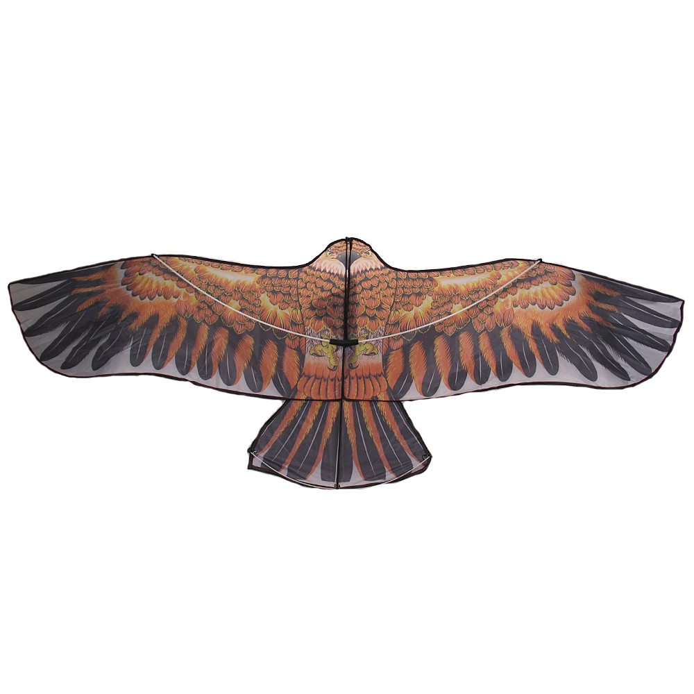 Létající drak orel hnědý - náhľad 3