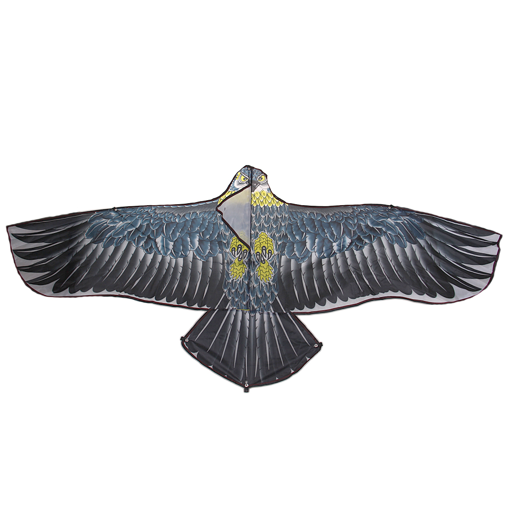 Létající drak orel modrý - náhľad 2