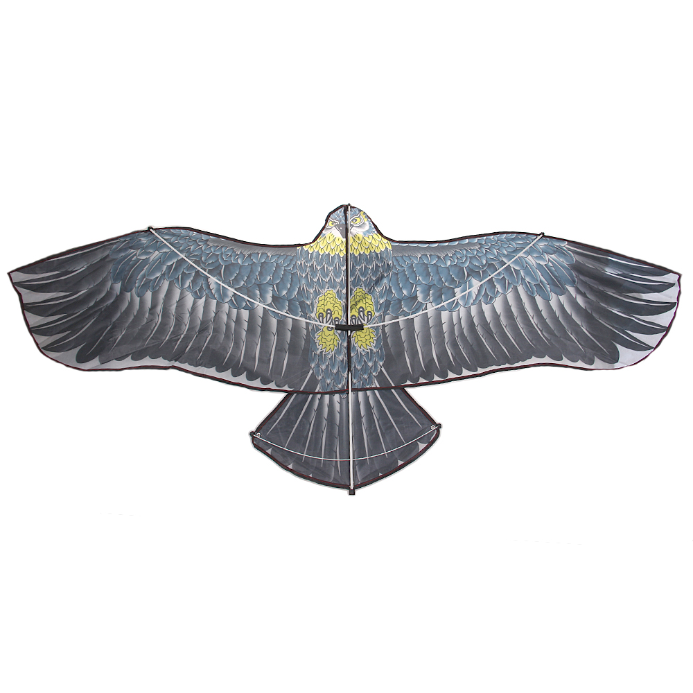Létající drak orel modrý - náhľad 3