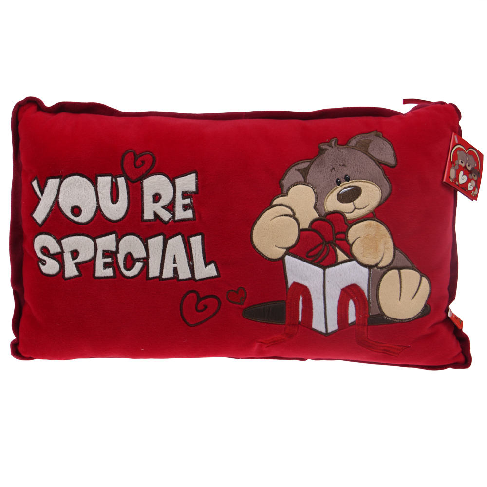 Červený polštářek You're special - náhľad 1