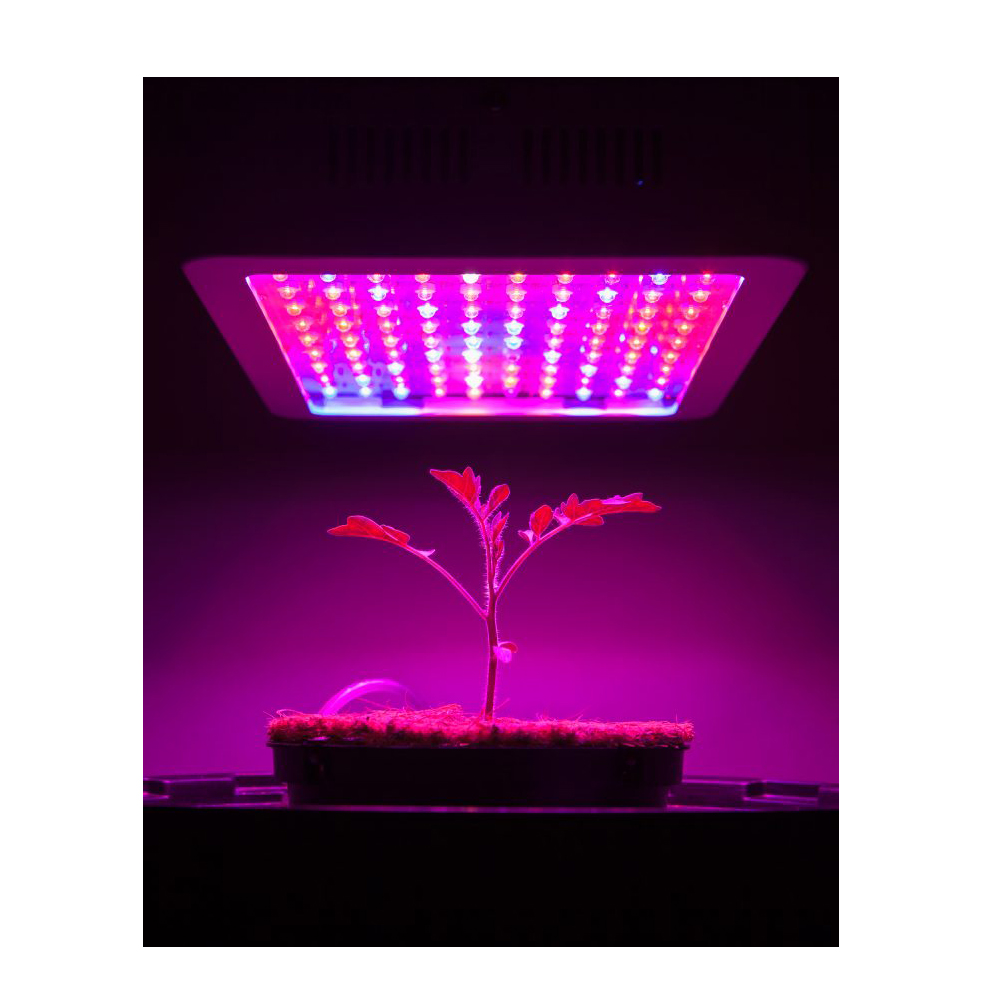 Plnospektrální LED světlo pro růst rostlin - náhľad 4